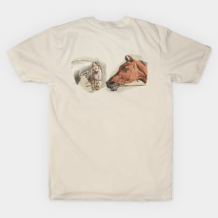 TWO HORSES T-Shirt